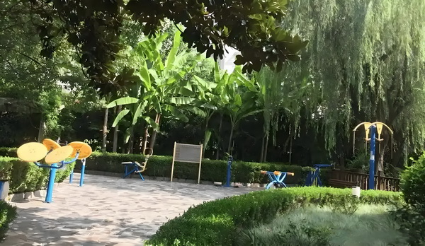 加入深圳市户口所需条件_探花看腻了，看乌克兰00后老师isabellastar的作品，欲罢不能 ar的作品美国媒体认为